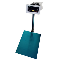Kingly TCS150 Stainless Steel Digital Floor Scale